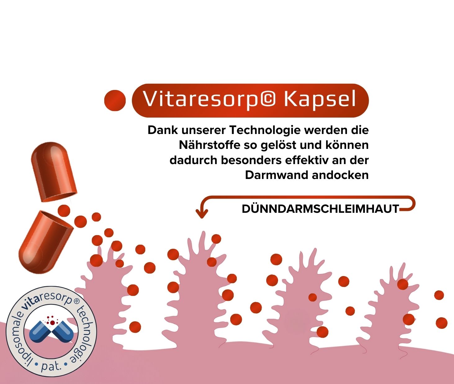 Vitaresorp Kapsel